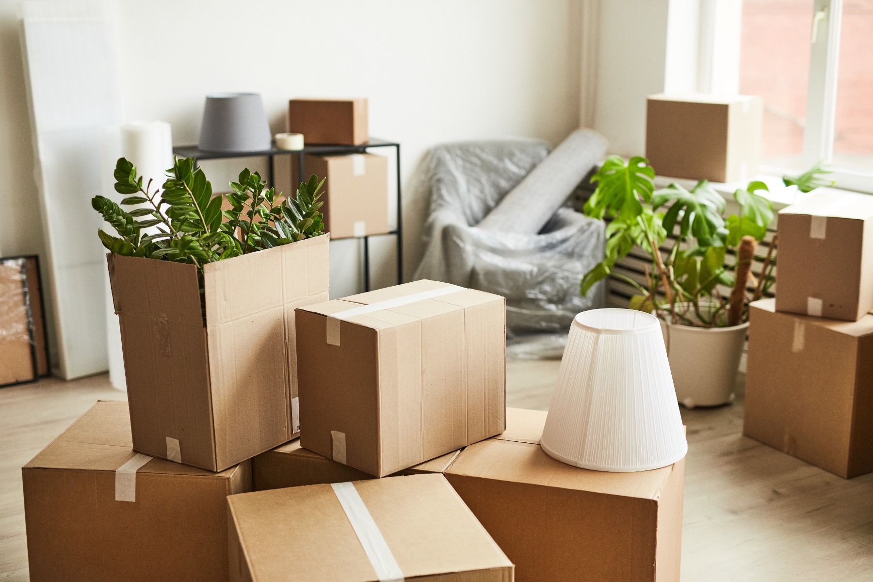 Belongings packed in boxes and furniture wrapped in plastic, ready for a cross-country move