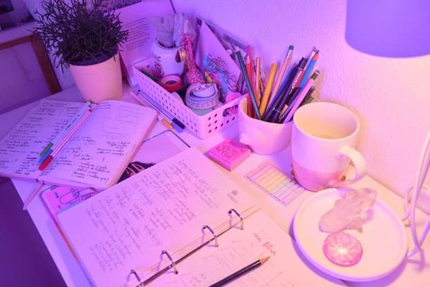 An organized study desk with notebooks, supplies, plant, and lamp