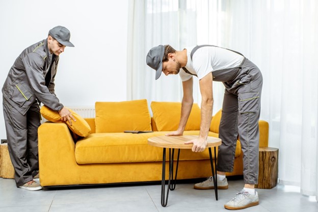 Furniture delivery crew arranging living room furnishings