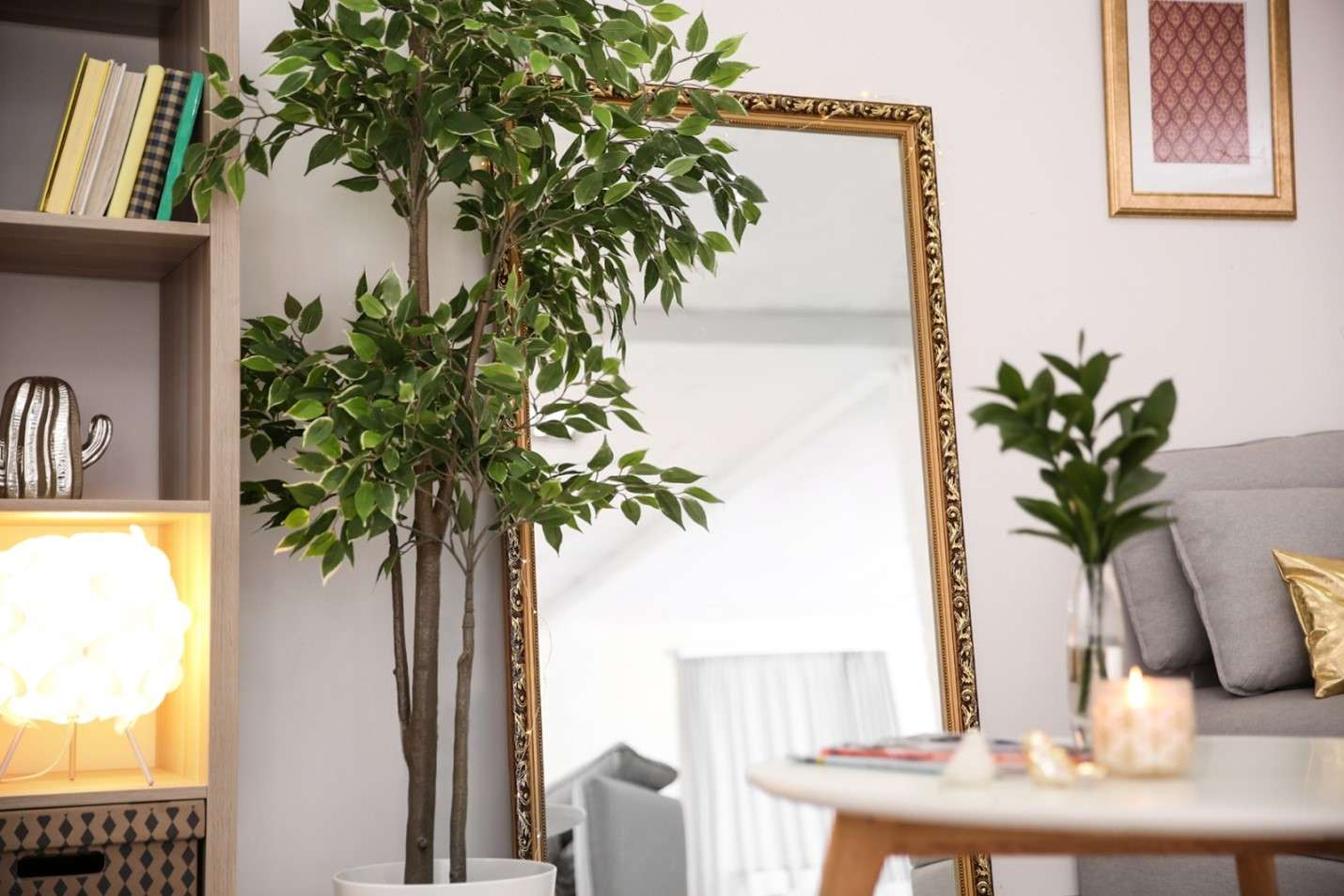 Large mirror behind a living-room plant