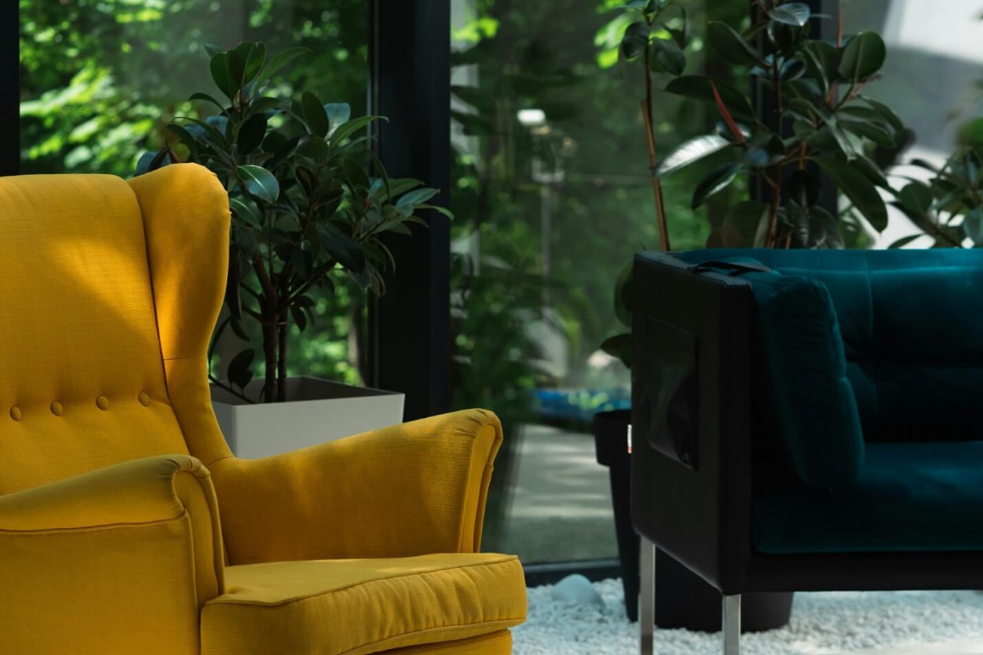 A pair of velvet wingback chairs in a plant-filled living room
