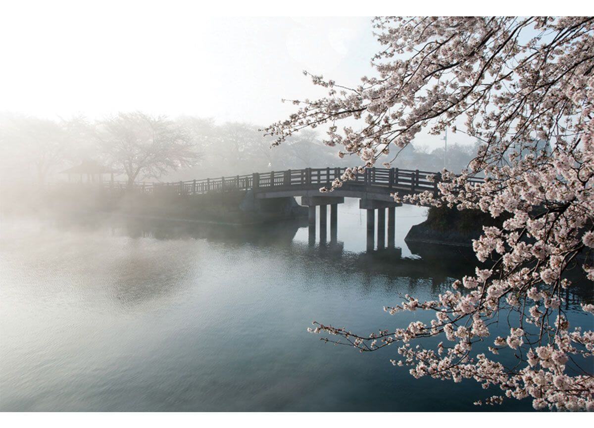 Bridge in the Fog wall print