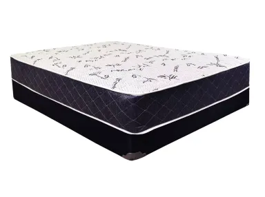 Basic Sleep Queen Mattress Set