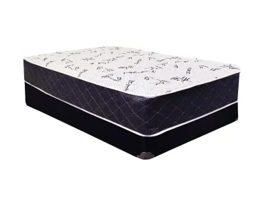 Basic Sleep Twin Mattress Set - BASSTW20
