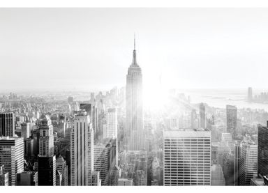 Downtown skyline 24 x 36 Print