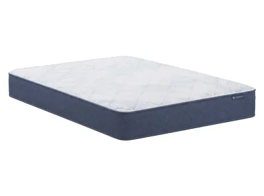 Placid Firm Queen Mattress