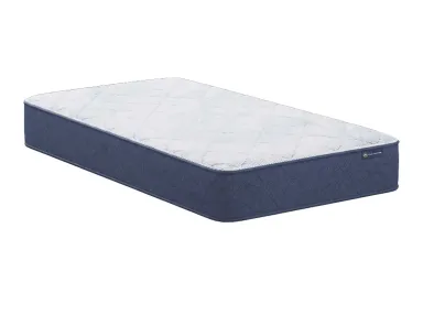 Wellness Eurotop Medium Firm Twin Mattress