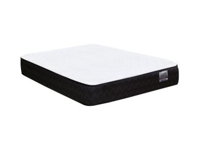 Posture Care Queen Mattress