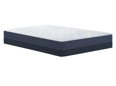 Wellness Eurotop Medium Firm King Mattress Set
