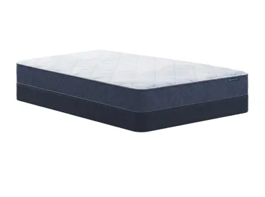 Placid Firm Twin Mattress Set