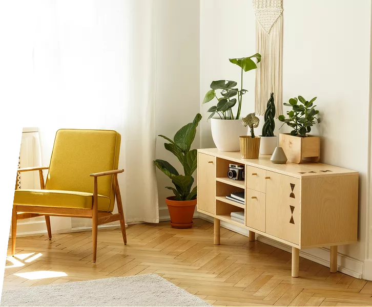 Furniture Interior