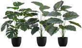 Artificial Plants